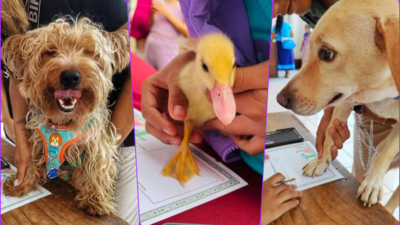 Las mascotas firmaron con su patita los papeles