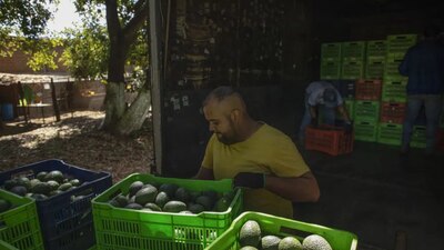 La ruta es tan riesgosa que muchos camiones salen escoltados rumbo a Estados Unidos