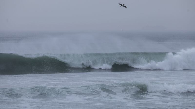 Terremoto de magnitud 7.1 sacude Tonga; emiten alerta de tsunami
