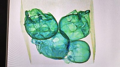 Dichos restos no contaban la documentación que amparara su legal procedencia