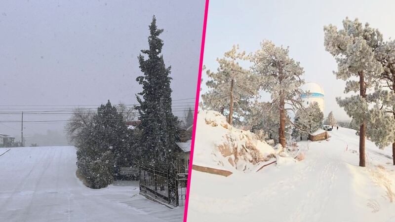 Tormenta invernal ‘congela’ el norte de México: Estos estados esperan hasta -15 grados, con nieve