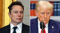 ¿Problemas en ‘el paraíso’? Trump y Musk tienen su primer choque por inversión en la IA