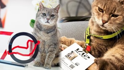 'Formulino' era conocido por darle buena suerte a los pilotos antes de las carreras