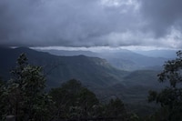 Durango cierra semana con al menos 5 homicidios; alerta aumento en la violencia