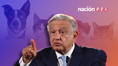 Consideró que es necesario que se haga conciencia sobre el trato digno a las especies de fauna