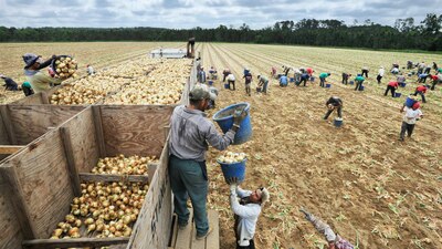 Los trabajadores de Estados Unidos que no nacieron en dicho país serán el motor de la economía norteamericana en los próximos años