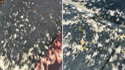 ¿Viste las miles de 'lunas' reflejadas en el suelo?