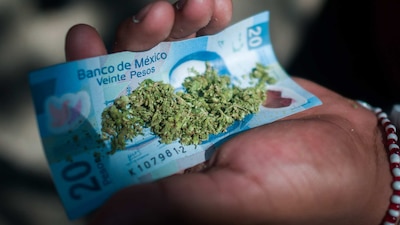 Un abogado explica cómo verte beneficiado con el más reciente fallo de la Suprema Corte