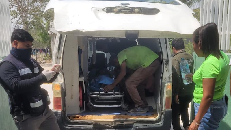 Cocodrilo ataca a niño en laguna de Oaxaca y sobrevive