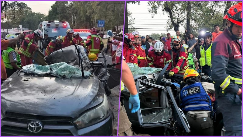 Tragedia en la Cuernavaca-México: mueren 3 personas tras caída de un árbol en la autopista