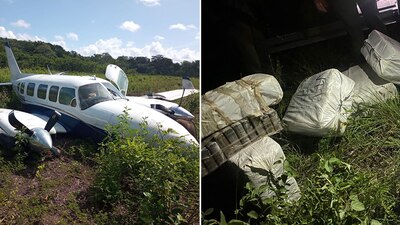Las autoridades celebraron el aseguramiento en la selva de Campeche