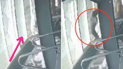 La ventana estaba abierta, por lo que no hubo nada que sostuviera a la joven