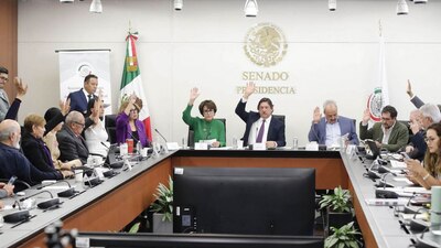 La licencia se dará en caso de que el parto tenga complicaciones