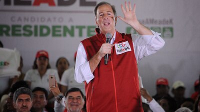 Meade le pidió a los electores que voten en todas las boletas electorales por el PRI