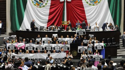 En el Pleno de la Cámara de Diputados, se aprobó el dictamen