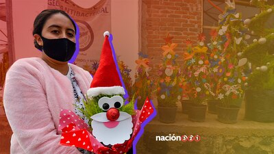 Respecto a reunirse con su familia, 43 por ciento piensa hacerlo y 52 por ciento, no