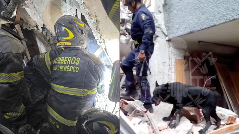 ‘Togo’, el canino especializado, halla a un trabajador atrapado en el derrumbe en San Antonio Abad