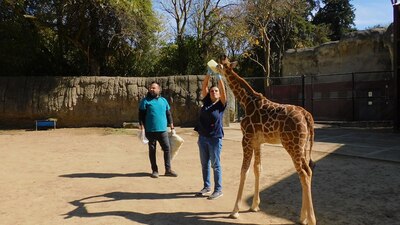 La convocatoria para el nombre está abierta