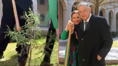 El presidente sembró un árbol en Palacio Nacional en compañía de su esposa, Beatriz Gutiérrez Müller