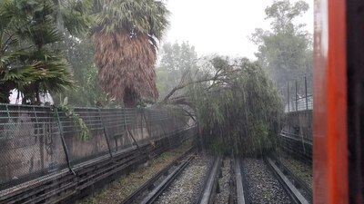 El Metro compartió la imagen de la lluvia y del árbol derrumbado