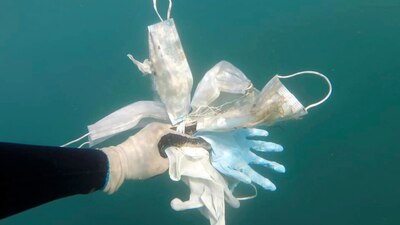 Un grupo ambientalista en Francia detectó guantes de plástico en el mar