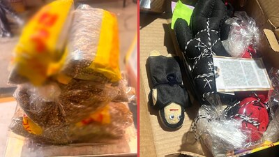 Descubren semillas de cannabis ocultas en muñecos; iban de Sinaloa a Bolivia