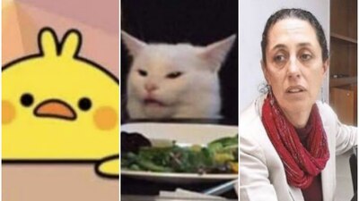 No todo fue malo este 2019... las redes nos regalaron buenos memazos que nos hicieron reír