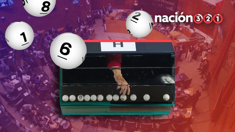 ¿Cómo se eligieron a los candidatos a la Elección Judicial?