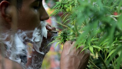 Esta actividad se seguirá considerando ilegal si no se obtiene el permiso necesario