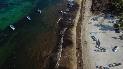 Turistas nacionales y extranjeros presenciaron el asesinato de los dos sujetos