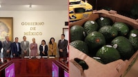 Sheinbaum firma acuerdos con productores para fortalecer la exportación y calidad del aguacate