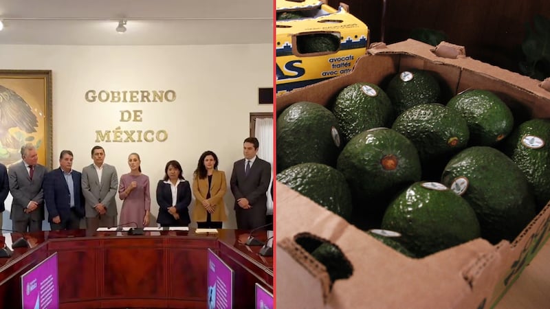 Sheinbaum firma acuerdos con productores para fortalecer la exportación y calidad del aguacate