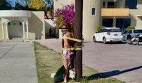 Vecinos golpean, desnudan y atan a una mujer a un poste, al acusarla de presunto robo en Ixmiquilpan