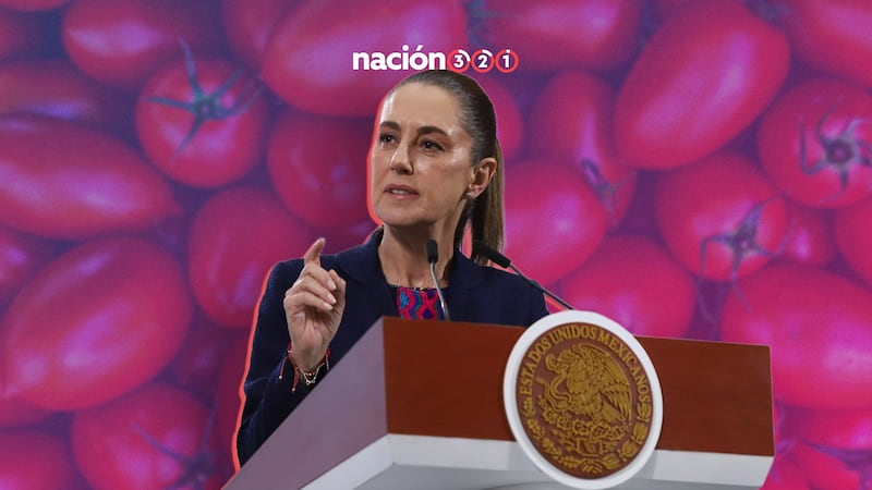 Sheinbaum presume dominio del jitomate mexicano en EU en medio de debate por el T-MEC