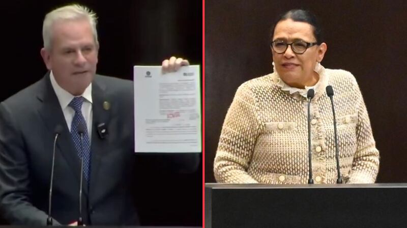 PAN denuncia formalmente a todos los hijos de AMLO y los bautiza como ‘Cártel de Palenque’