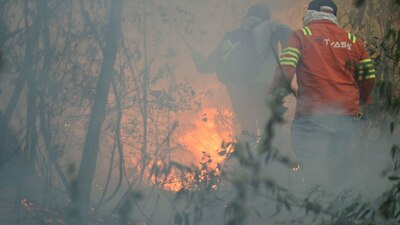 La Conafor pidió a los ciudadanos que, si salen al campo, no arrojen cerillos o cigarros encendidos