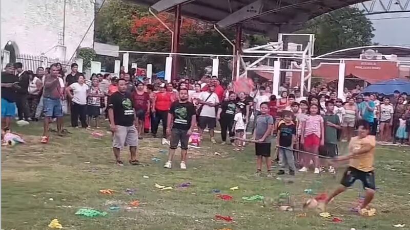 VIDEO: Llenan piñatas con animales silvestres y al caer los matan a golpes, en Campeche