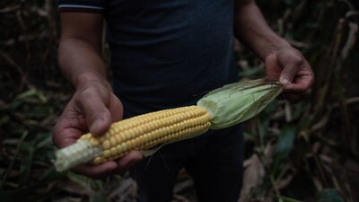 AMLO se reunió con el secretario de Agricultura de Estados Unidos, Tom Vilsack