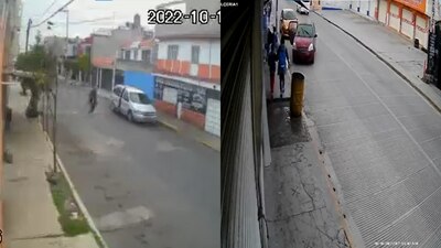 En dos días se reportado al menos dos plagios en diferentes puntos