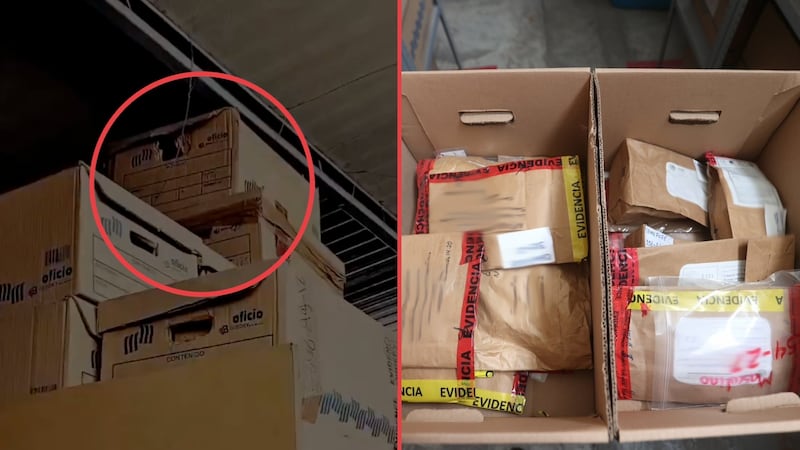 FGR niega presunto resguardo irregular de restos humanos; ¿cómo maneja el material óseo?