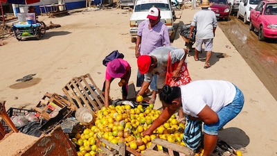 Esta medida surge debido a que muchas personas perdieron su fuente de empleo