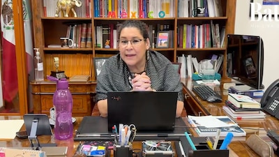 La ministra acusó a los medios de comunicación de no entender la discusión y resolución del Pleno sobre este tema