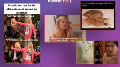 Los usuarios tomaron con humor la invasión de los bichos