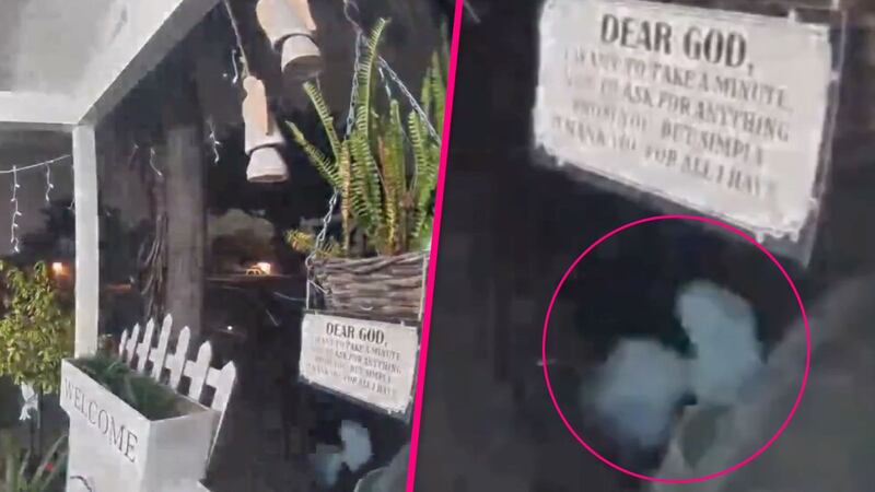 VIDEO: Familia de EU capta figura alienígena paseando por su jardín