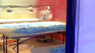 El sitio tenía una capacidad de producción de más de 100 millones de dosis de pastillas de fentanilo