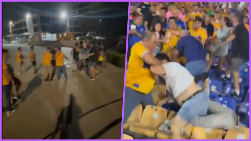 VIDEOS: Brutalidad en el Tigres vs. América, deja golpes, patadas y 1 aficionado inconsciente