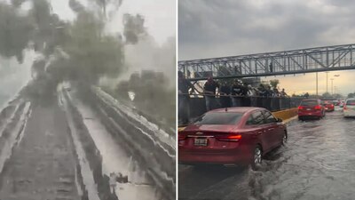 Tras las lluvias, se registraron varios percances en la Ciudad y hasta un árbol se cayó en las vías del Metro