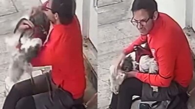 En redes sociales hay algunas personas que aseveran haber dado con el posible responsable