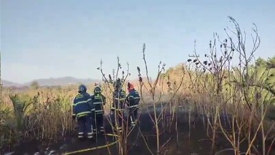 Luego de más de 48 horas se logró apagar el incendio
