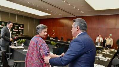 El dirigente nacional sostiene un 'pleito' con el coordinador Miguel Ángel Osorio Chong
